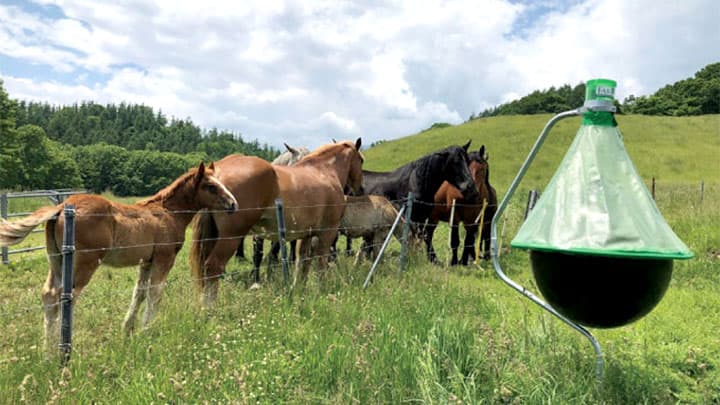 アブ捕獲器「アブキャップ」が進化　新商品を発売　ファームエイジ