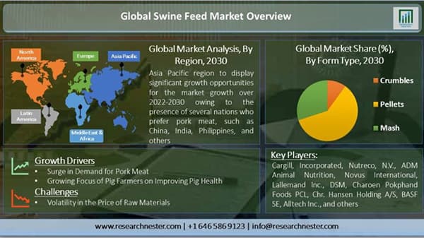 世界の豚飼料市場　2022～2030年にCAGR5％で成長予測