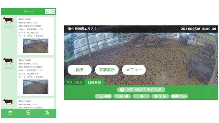 牛畜産農家の課題をDXで解決「MOOVIE 発情検知システム」開発　ファーマーズサポート