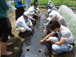 小規模でも地域に農業を定着させる ＪＡとぴあ浜松「とぴあ園芸教室」