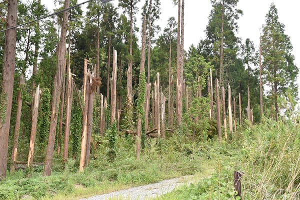 【クローズアップ・台風被害】いつでもどこでも自然災害 現地ルポ　千葉・愛媛・宮崎