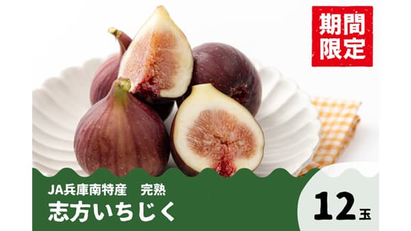 ＪＡ兵庫南特産「志方いちじく」予約販売開始　先着20人限定で300円OFF
