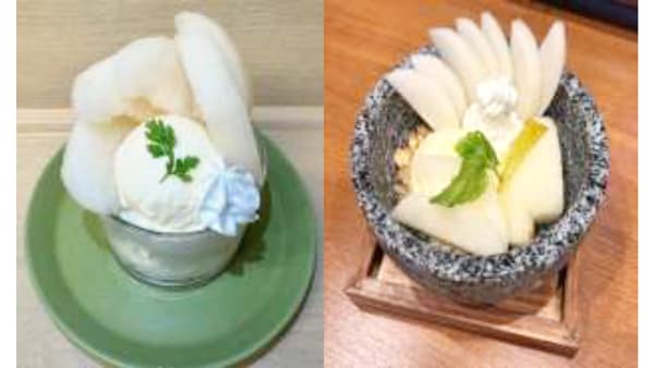 シャリシャリ食感とあふれ出す甘さ　鳥取県産梨「新甘泉フェア」29日から　ＪＡ全農