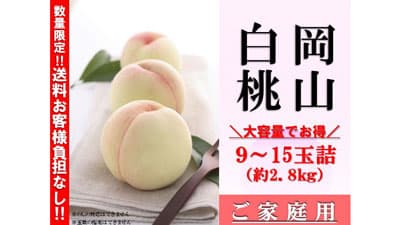 おいしいおかやま「岡山白桃お試しキャンペーン」開催中　ＪＡタウン