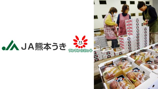 加温栽培で先行スタート　イチジク出荷本格化　ＪＡ熊本うき