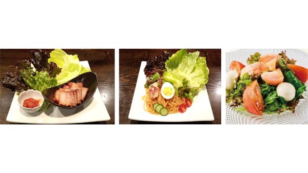 東北一のレタス産地から「ＪＡ新いわてレタスフェア」全農直営飲食店舗で開催　ＪＡ全農