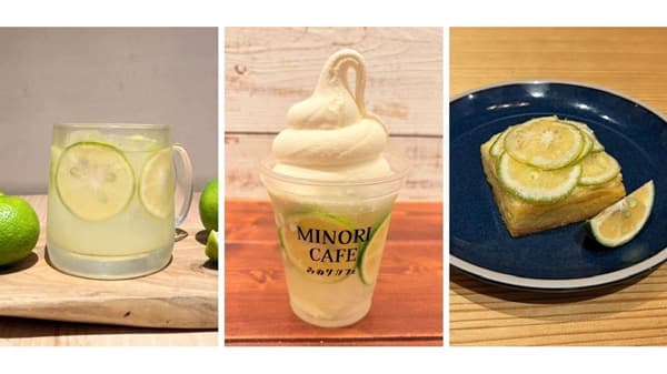 「大分県産かぼすフェア」全農グループ飲食16店舗で開催　ＪＡ全農