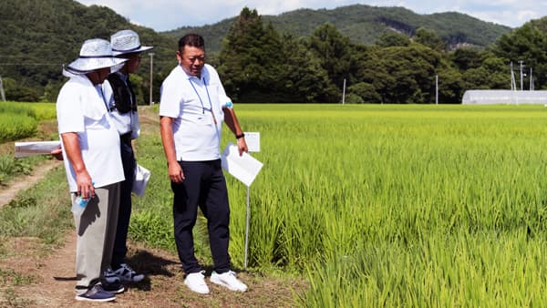 新たなブランド米「白銀のひかり」 を視察研修　岩手県ＪＡ稲作部会連絡協議会