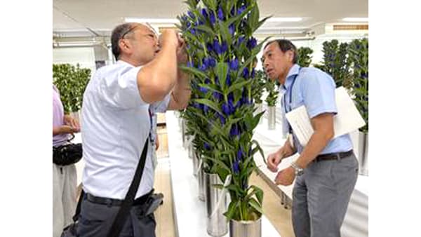 令和7年度岡山県花き共進会を開催　最優秀賞は新見市の黒笹明氏　岡山県花き生産協会