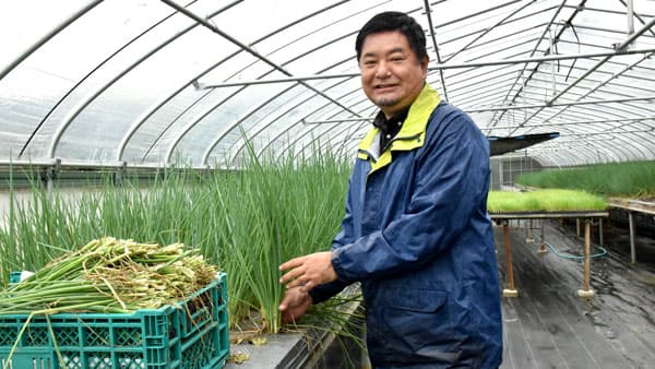 【特集：沖縄本土復帰50年】「軽トラ市」で地域に活力　農業の力信じて　次世代担う農業人（はるんちゅ）（1）