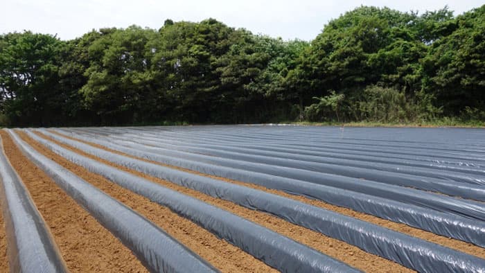 たい肥の積極活用で新たな施肥体系へ転換を　ＪＡ全農