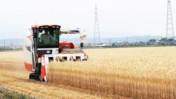 富山県内各地で大麦の収穫作業が始まる　ＪＡ全農とやま