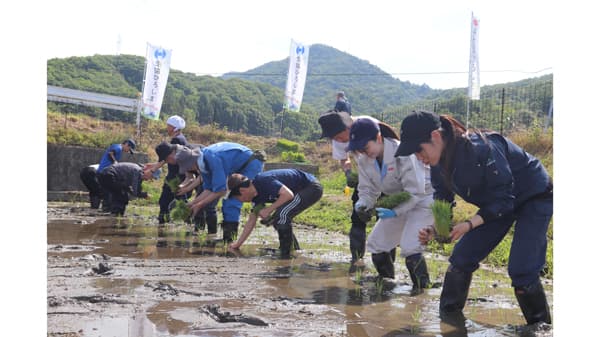 生協ひろしま×ＪＡ全農ひろしま　協働の米づくり活動、三原市高坂町で田植え