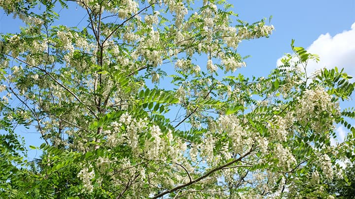 農業・農協の現場からの提言「農協時論」【企画にあたって】