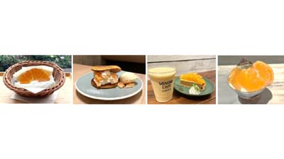 甘くてジューシー　福岡県産「デコポン」フェア　全農直営飲食店で開催