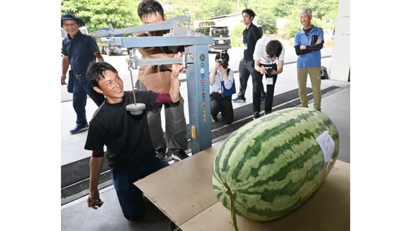 ＪＡ鹿本でジャンボスイカ品評会開催　最優秀は119キロの超特大果実