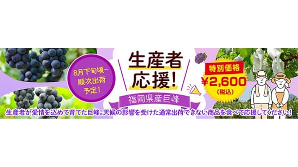 ぶどうを食べて生産者応援　規格外の「福岡県産巨峰」販売　ＪＡタウン