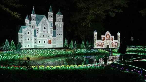 グリムの森イルミネーションで地域活性化に貢献　ＪＡおやま