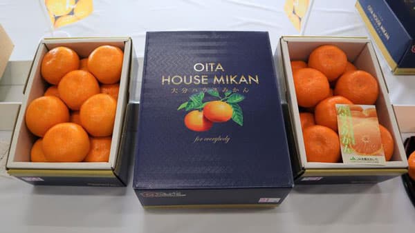 大分ハウスみかんの出荷が始まる　大分県柑橘販売強化対策協議会