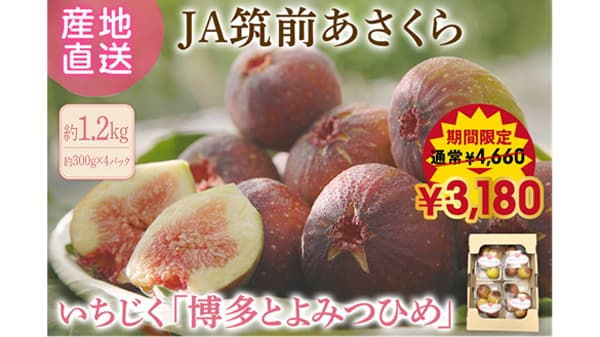 いちじく「博多とよみつひめ」特別価格で予約受付中　ＪＡタウン
