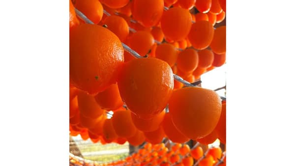 福島県産「あんぽ柿」都内レストランでオリジナルメニュー　24日から提供　ＪＡ全農福島