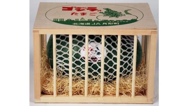 まるで恐竜のたまご　北海道産スイカ「ゴジラのたまご」販売中　ＪＡタウン