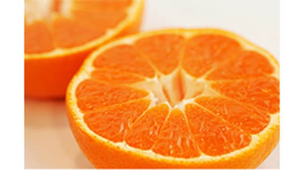 日差しと土が育む甘さとコク　日本一の選果場から「三ヶ日みかん」　ＪＡみっかび