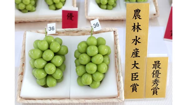 山形県産「シャインマスカット」品評会出品商品を数量限定で予約販売　ＪＡタウン