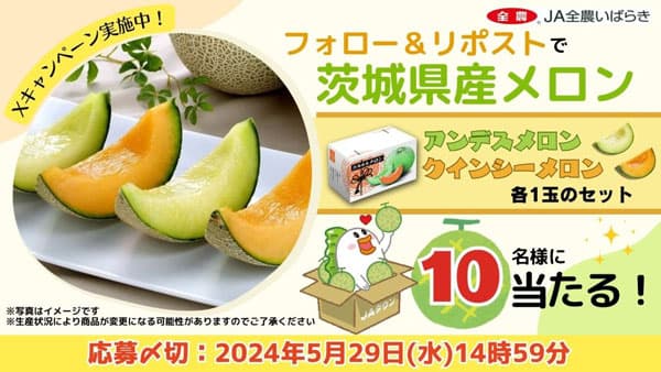 「茨城県産メロンフェア」仙台・銀座の直営飲食店舗で開催　ＪＡ全農