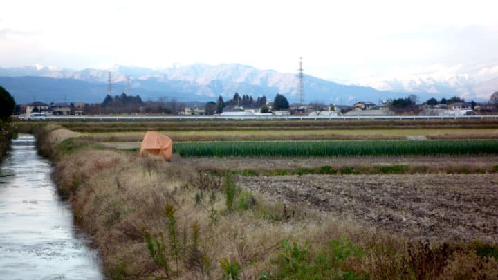 【花ひらく暮らしと地域―ＪＡ女性　四分の三世紀（10）】「わたし」に目覚める＜下＞米価運動に参加して