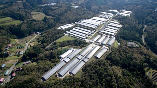 和牛一貫振興で地域ぐるみ銘柄化　ＪＡ全農北日本くみあい飼料【ＪＡ全農創立５０年】