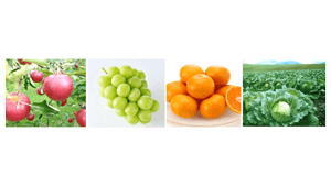 みのりみのるマルシェ「ＪＡ全農秋の大収穫祭」銀座三越で22日に開催