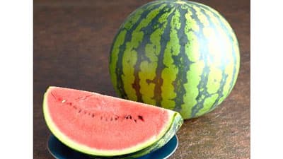 京都・広島の直営飲食店舗で「鳥取県産すいかフェア」11日から開催　ＪＡ全農