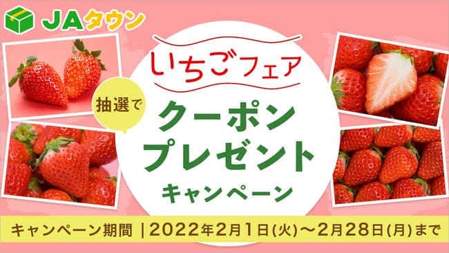 今が旬の人気品種が勢揃い　柑橘フェア＆いちごフェア開始　ＪＡタウン