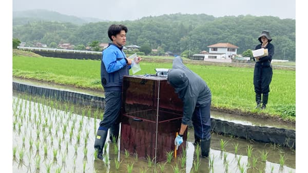 ＪＡ全農ひろしまと広島大学の共同研究　田植え直後のメタンガス排出量調査を実施