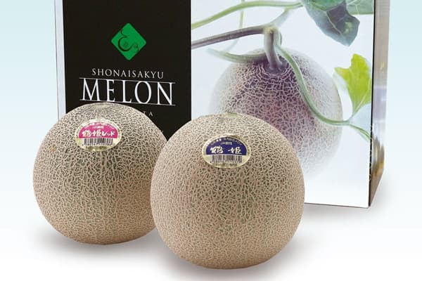 山形県産「鶴姫メロンと鶴姫レッドメロン」セットで販売中　ＪＡタウン