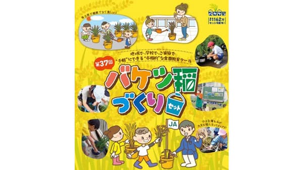 ベランダで米づくり「バケツ稲づくり」個人申し込み受付開始　ＪＡグループ