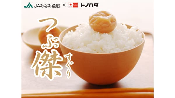 南魚沼産コシヒカリと紀州みなべ産南高梅「つぶ傑」限定販売　ＪＡみなみ魚沼×トノハタ