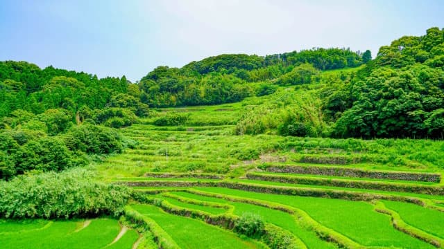 みどりの協同活動（仮称）の推進　新世紀ＪＡ研究会・福間莞爾常任幹事