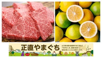 山口県産商品が20％OFF「正直やまぐち」年度末大決算セール開催中　ＪＡタウン