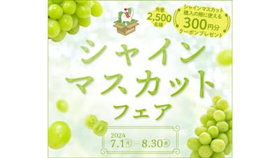 「シャインマスカットフェア」開催　購入時に使えるクーポンプレゼント　ＪＡタウン