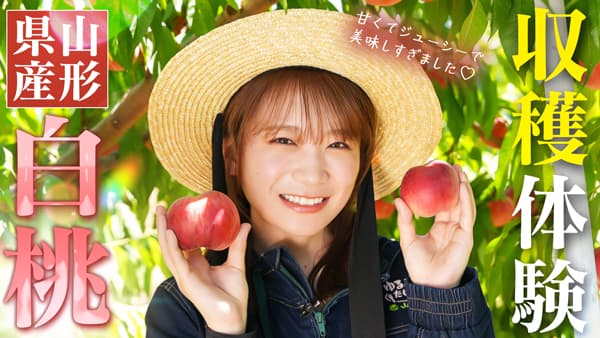 秋元真夏の「ゆるふわたいむ」山形県産の採れたて白桃を食べ比べ　ＪＡタウン