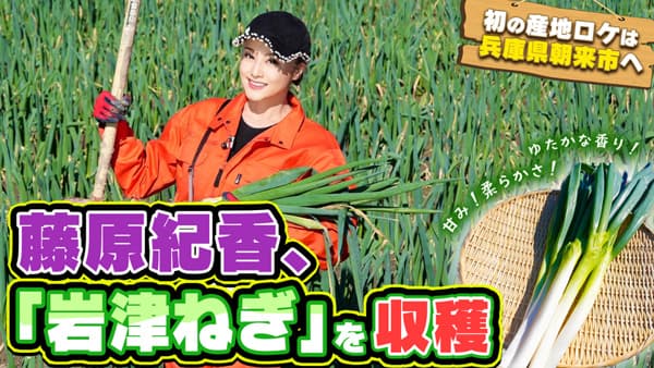 藤原紀香の『ゆる飲み』但馬の特産品「岩津ねぎ」を収穫　ＪＡタウン