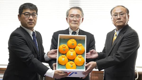 芦北町役場などへデコポンを贈呈　ＪＡあしきた