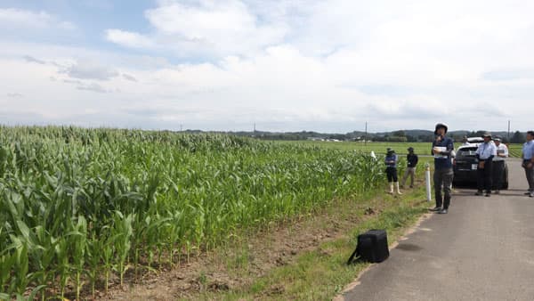 子実トウモロコシ＋大豆＋乾田直播　3輪作を実証　ＪＡ古川・ＪＡ全農