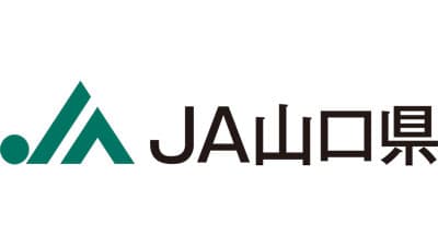 山口茶入りニュータイプのお菓子新発売