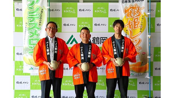 ネットメロンの出荷始まる　ＪＡ鶴岡
