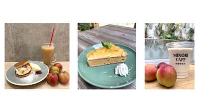 "福岡のみのりカフェ"で「甘酸っぱい初夏の香り、すももフェア」開催　ＪＡ全農