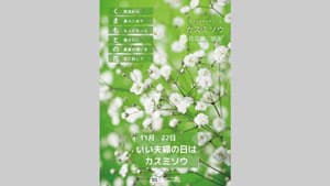 「熊本県産カスミソウフェア」みのる食堂アミュプラザくまもと店で開催　ＪＡ全農