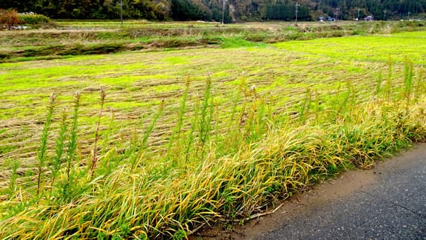 【現地レポート】被災者支援に奔走するＪＡのと（2）「先が見えない不安」